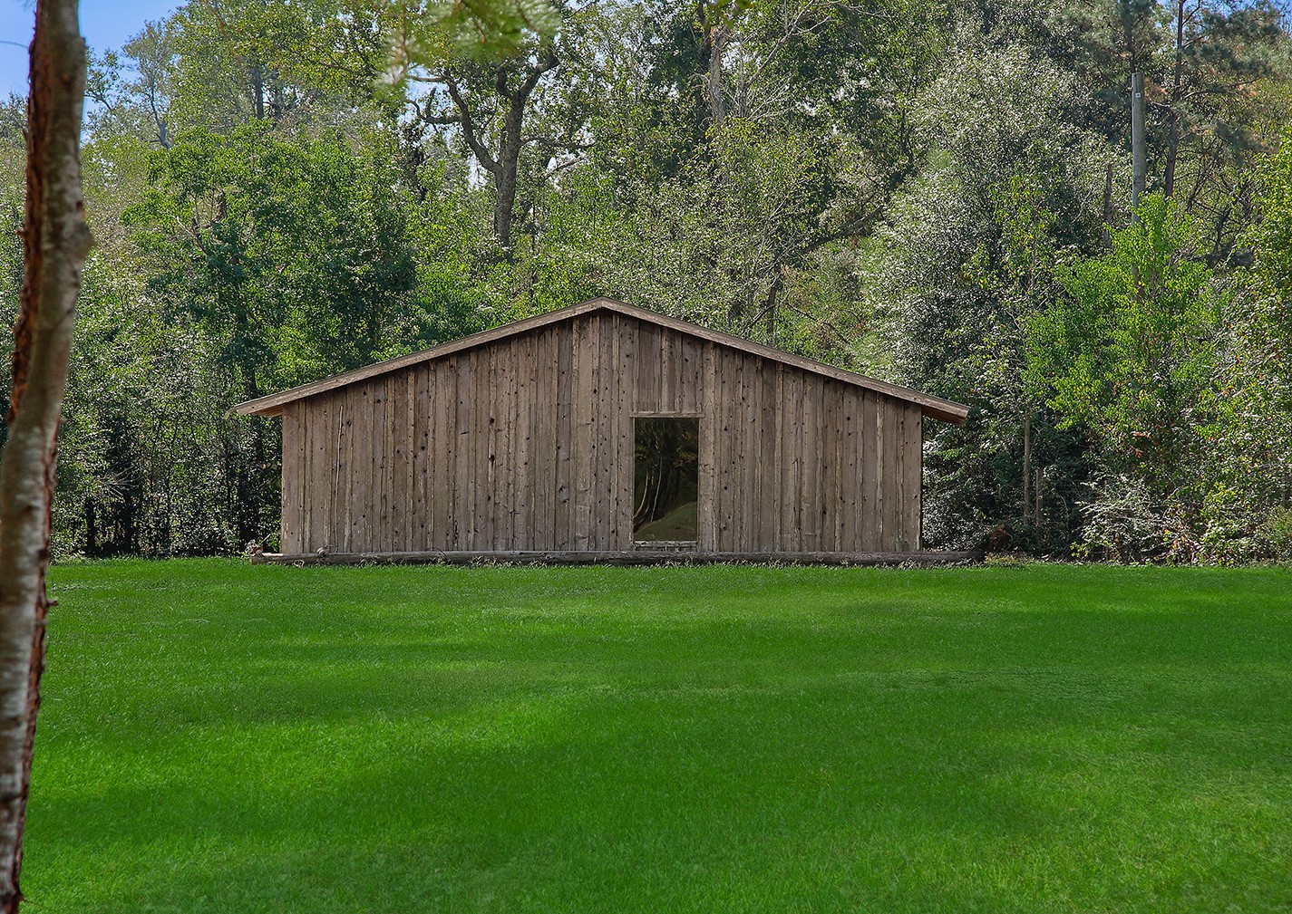 7185 Highway 75 Huntsville, TX 77340 - Photo 8 of 33 a backyard of a house with lots of green space