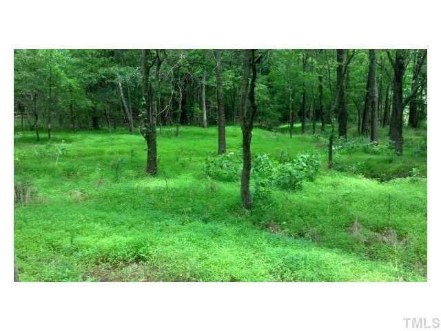 716 Bahama Road Bahama, NC 27503 - Photo 3 of 4 a open area with green field