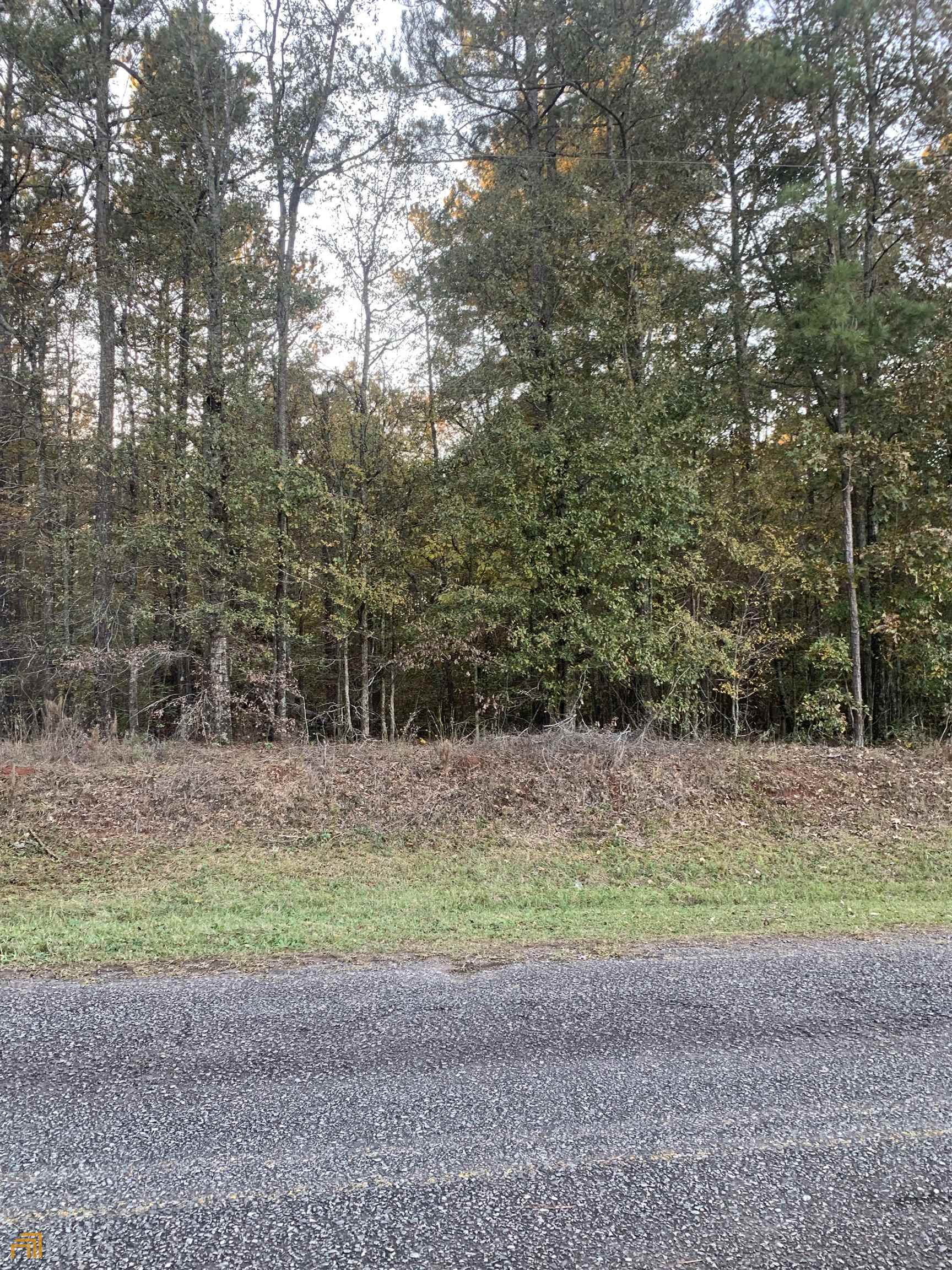 0 Armour Road Monticello, GA 31064 - Photo 1 of 1 Gallery Image 1