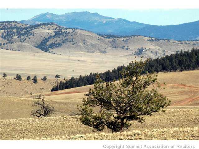 800 Sioux Road Hartsel, CO 80449 - Photo 3 of 25 Gallery Image 3