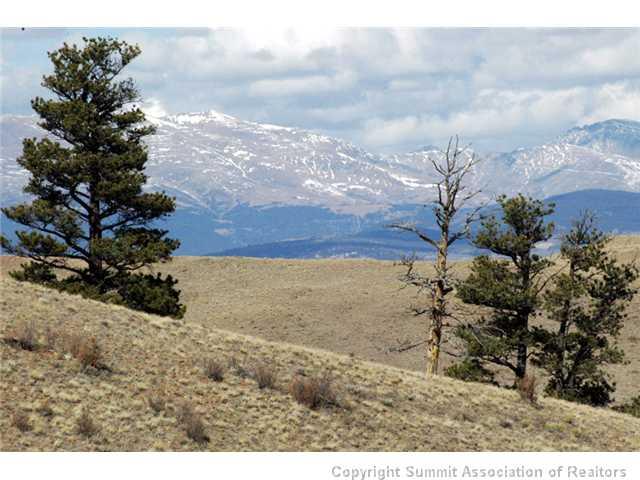 800 Sioux Road Hartsel, CO 80449 - Photo 22 of 25 Gallery Image 22