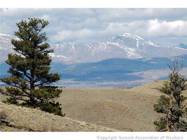800 Sioux Road Hartsel, CO 80449 - Photo 8 of 25 Gallery Image 8