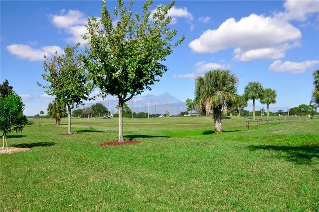 a view of a park with a tree
