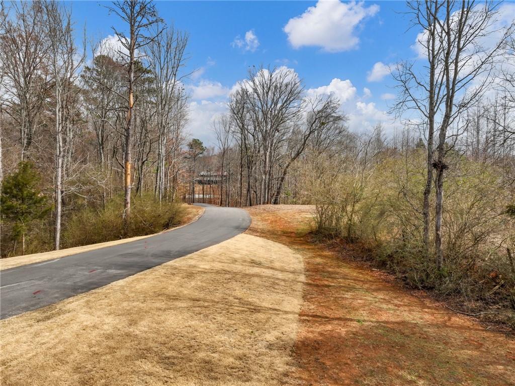 3263 Tanners Mill Road Gainesville, GA 30507 - Photo 110 of 174