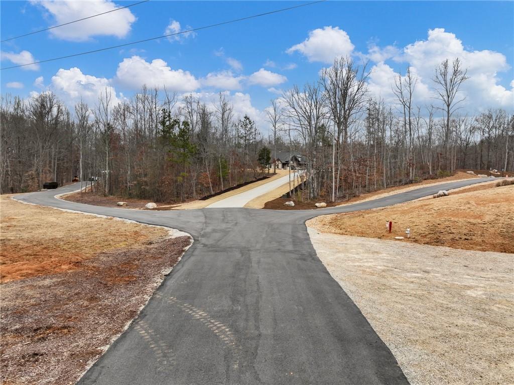 3263 Tanners Mill Road Gainesville, GA 30507 - Photo 89 of 174