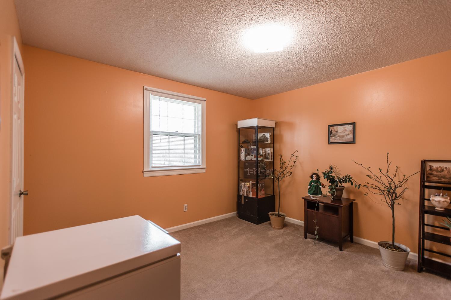 369 Marrell Street Gallatin, TN 37066 - Photo 14 of 20 Gallery Image 14