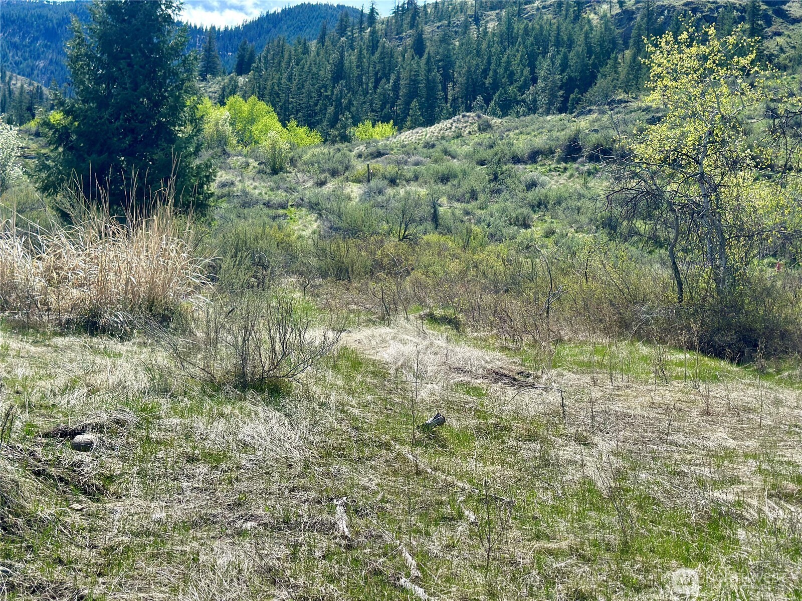2 X Alder Road Twisp, WA 98856 - Photo 34 of 38