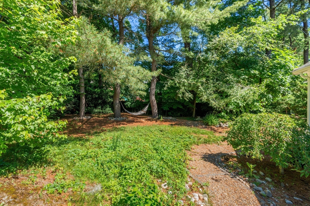 737 Chestnut Street Waban, MA 02468 - Photo 35 of 40 Gallery Image 35