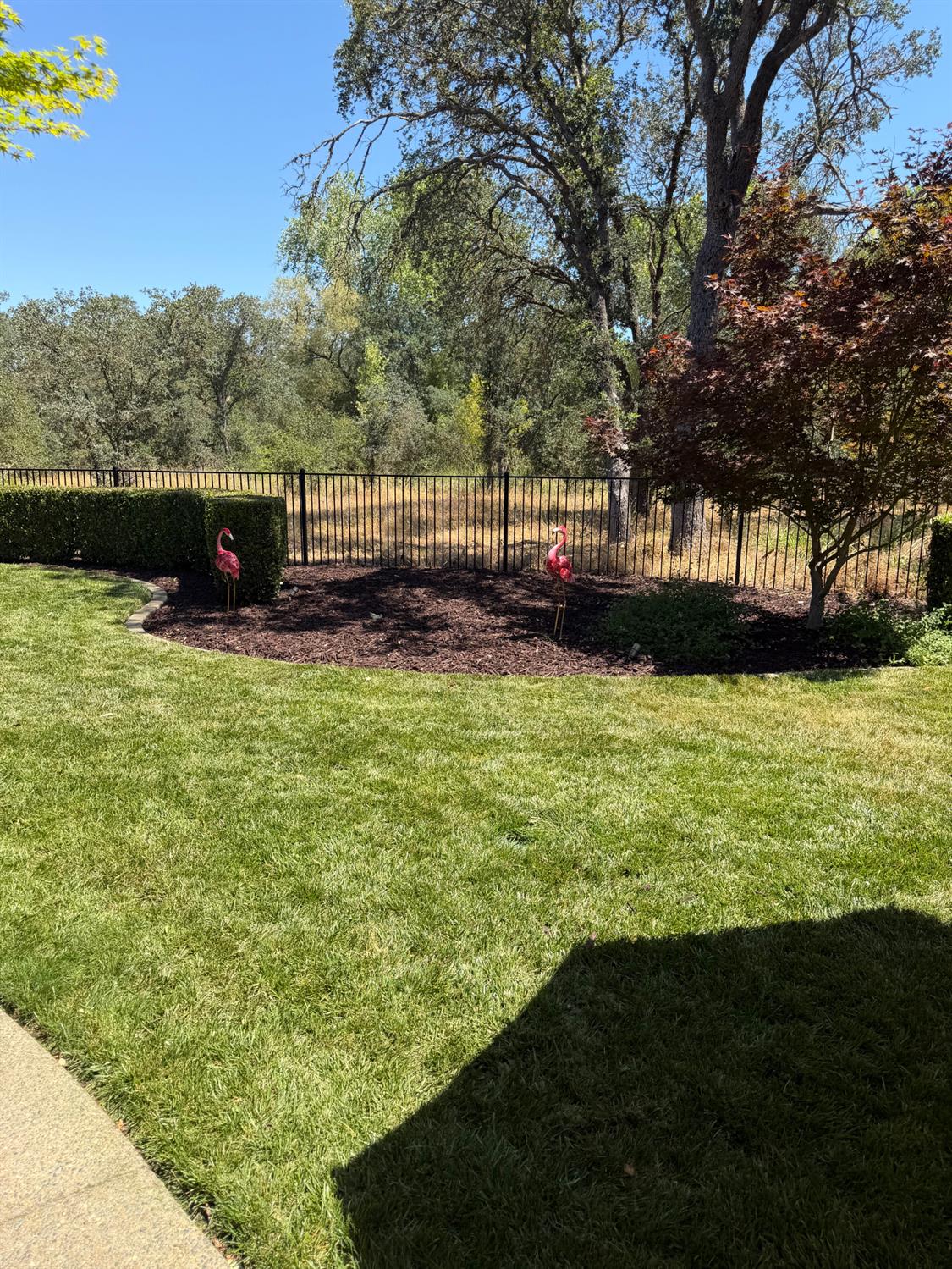 9454 Crocker Road Granite Bay, CA 95746 - Photo 39 of 46