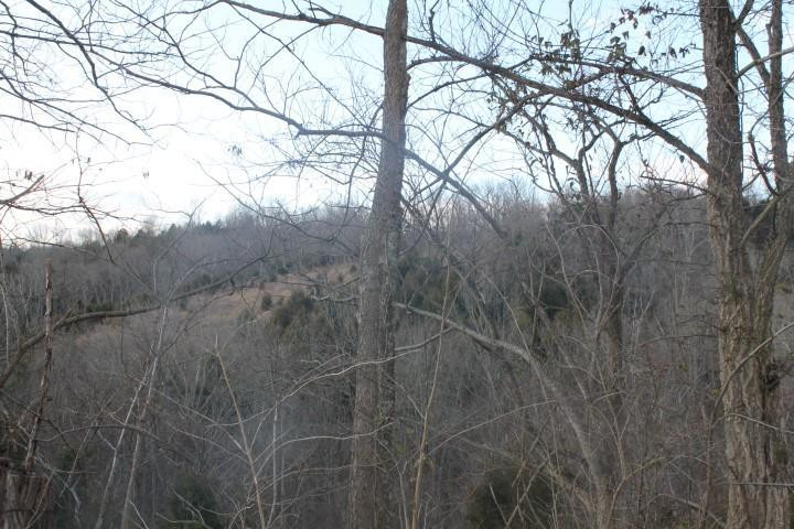 1 Bethel & Jerdan Road Carlisle, KY 40311 - Photo 4 of 6 Photo 4