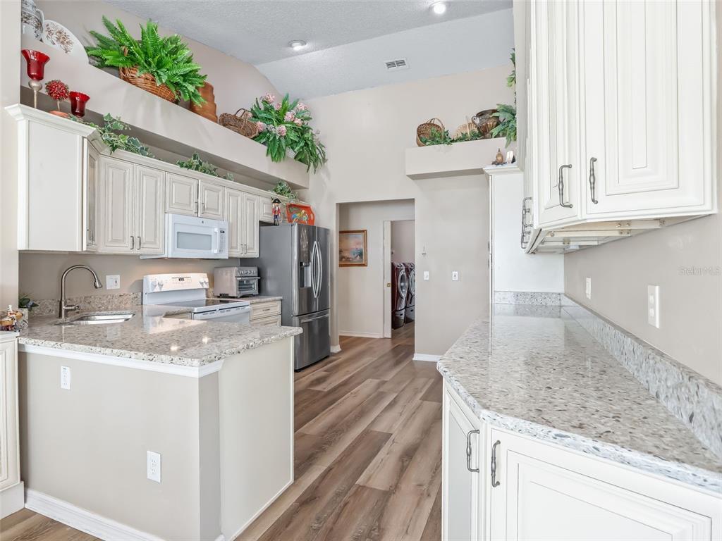 1409 Meadow View Way Lady Lake, FL 32159 - Photo 24 of 61