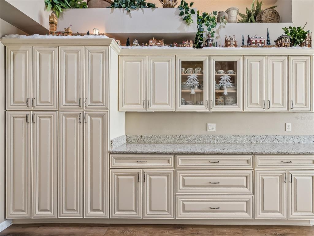 1409 Meadow View Way Lady Lake, FL 32159 - Photo 27 of 61