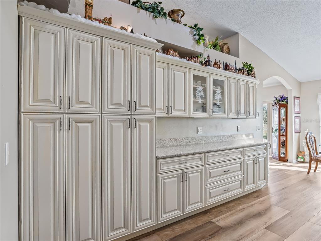 1409 Meadow View Way Lady Lake, FL 32159 - Photo 28 of 61