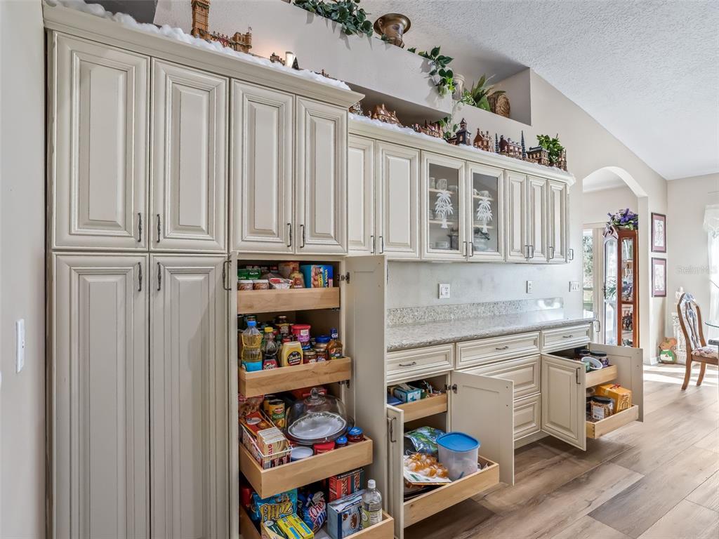 1409 Meadow View Way Lady Lake, FL 32159 - Photo 29 of 61