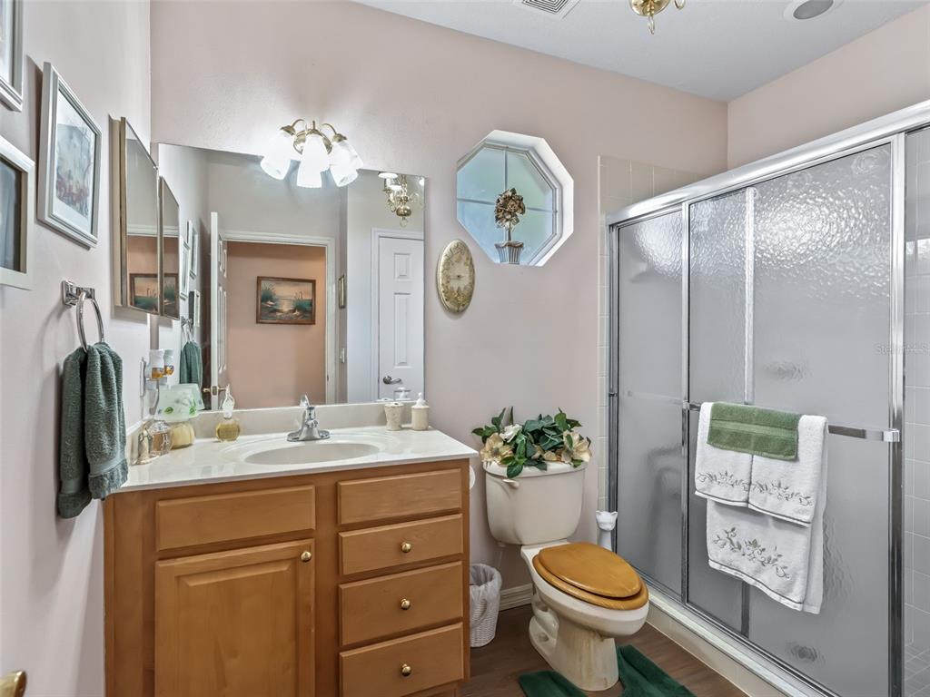 1409 Meadow View Way Lady Lake, FL 32159 - Photo 39 of 61