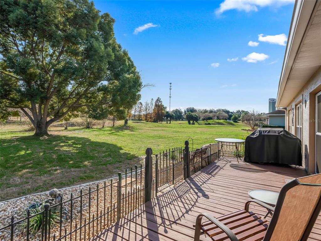 1409 Meadow View Way Lady Lake, FL 32159 - Photo 44 of 61