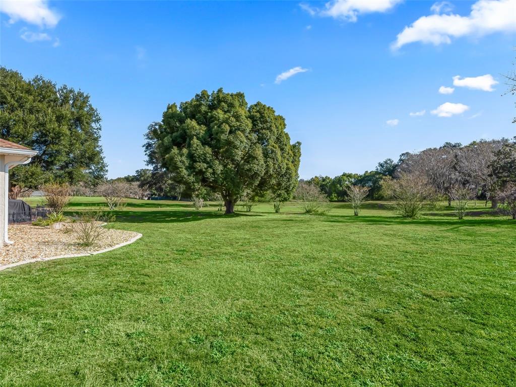 1409 Meadow View Way Lady Lake, FL 32159 - Photo 50 of 61