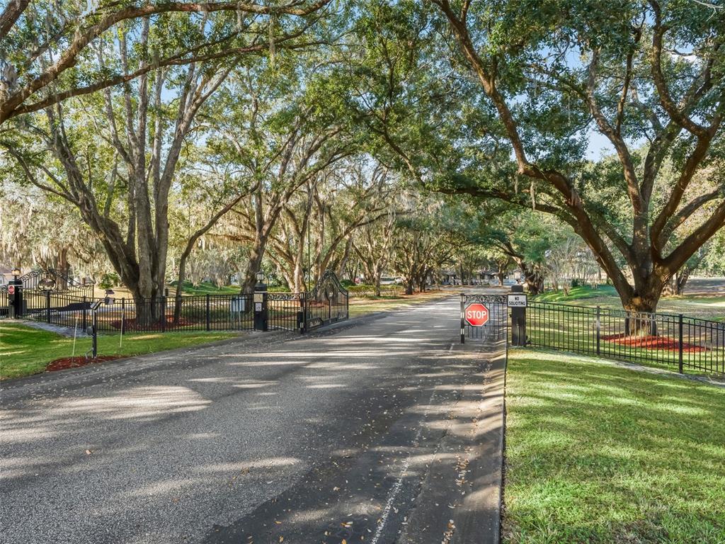 1409 Meadow View Way Lady Lake, FL 32159 - Photo 53 of 61