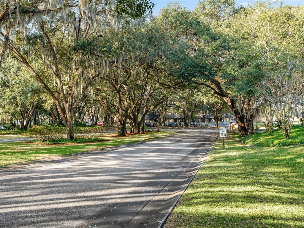 1409 Meadow View Way Lady Lake, FL 32159 - Photo 55 of 61