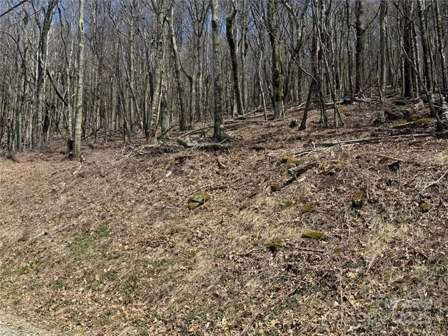 $72,000 | 244-245 Grouse Thicket Lane, Burnsville, NC 28714