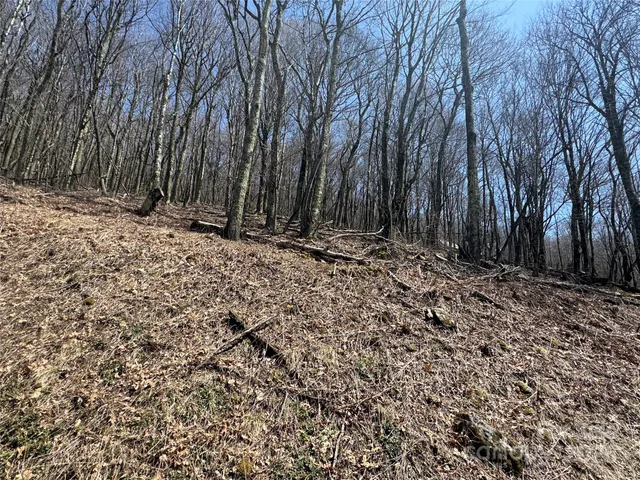 $72,000 | 244-245 Grouse Thicket Lane, Burnsville, NC 28714