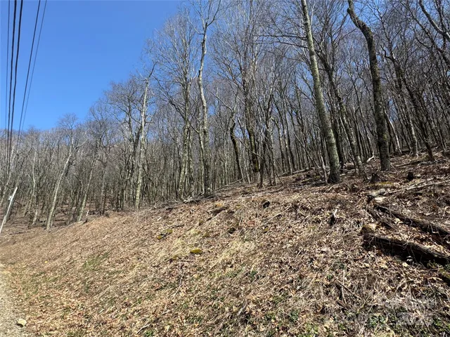 $72,000 | 244-245 Grouse Thicket Lane, Burnsville, NC 28714