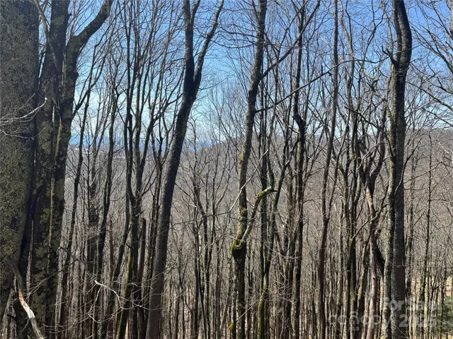 $72,000 | 244-245 Grouse Thicket Lane, Burnsville, NC 28714