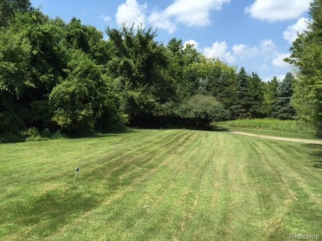 679 Kern Road Lake Orion, MI 48362 - Photo 23 of 34 IMG_0791.jpg