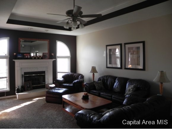 310 Eagle Ridge Drive Chatham, IL 62629 - Photo 3 of 13 Gallery Image 3