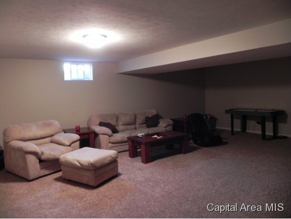 310 Eagle Ridge Drive Chatham, IL 62629 - Photo 8 of 13 Gallery Image 8