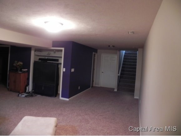 310 Eagle Ridge Drive Chatham, IL 62629 - Photo 9 of 13 Gallery Image 9