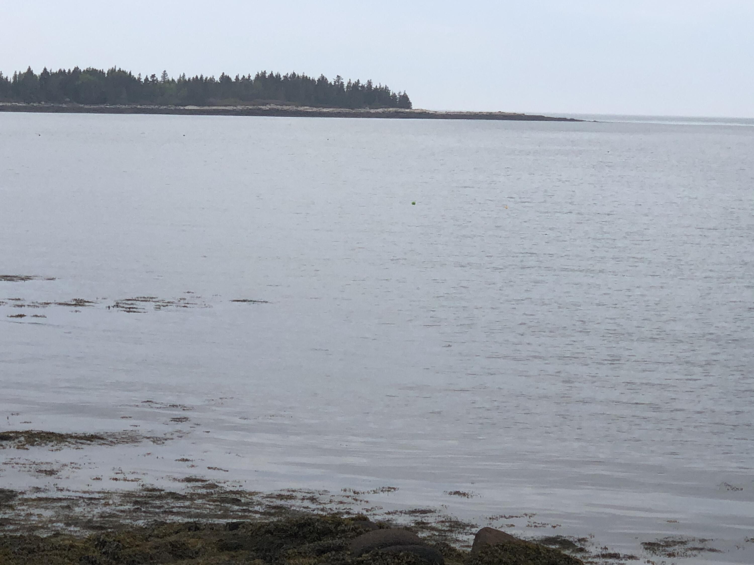 2 Carver Industry Road Beals, ME 04611 - Photo 22 of 26 Ocean View Lots 2 & 3