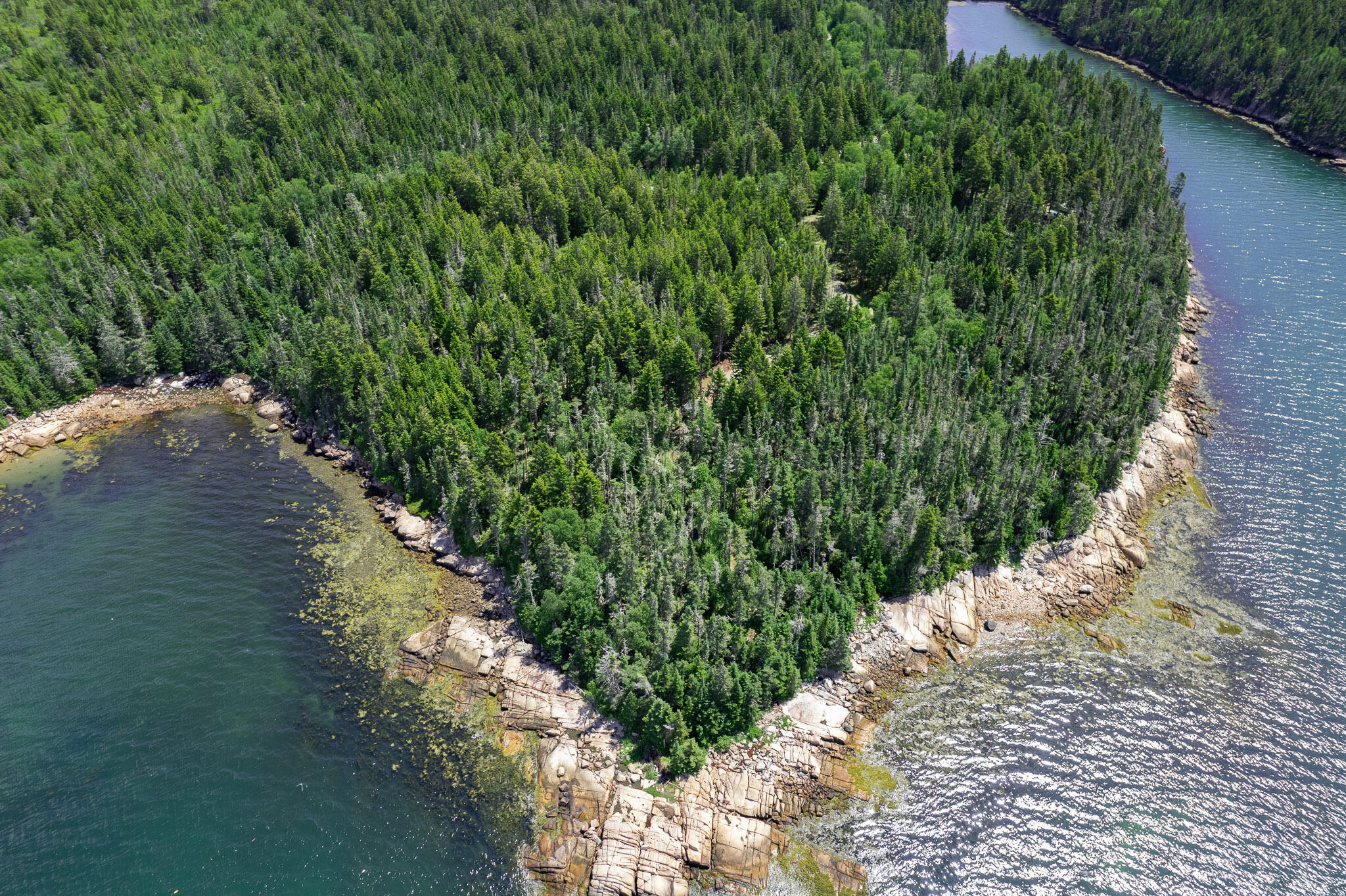 2 Carver Industry Road Beals, ME 04611 - Photo 6 of 26 Beals Land-15