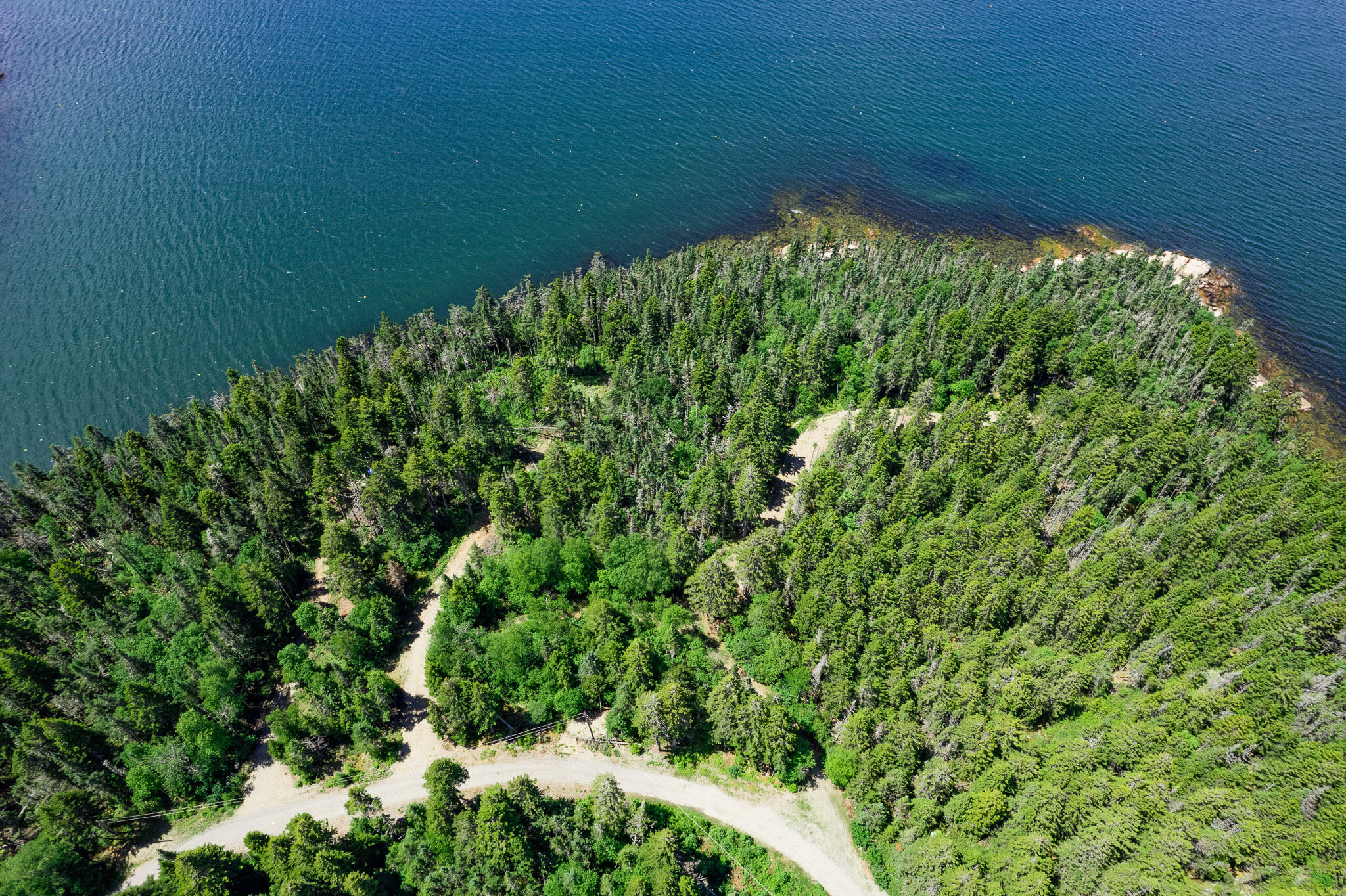 2 Carver Industry Road Beals, ME 04611 - Photo 8 of 26 Beals Land-8