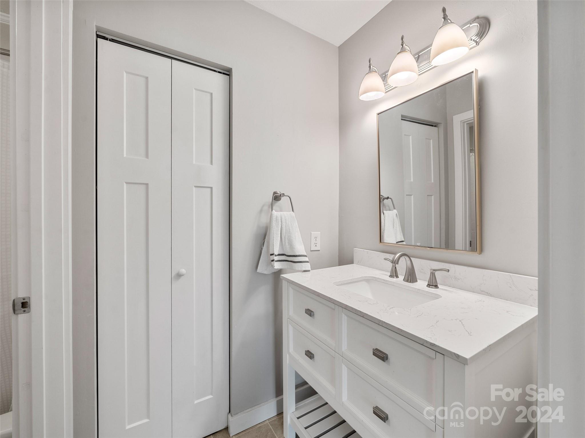 111 Shepard Square, Unit 608 Brevard, NC 28712 - Photo 15 of 29 a bathroom with a sink vanity and a mirror