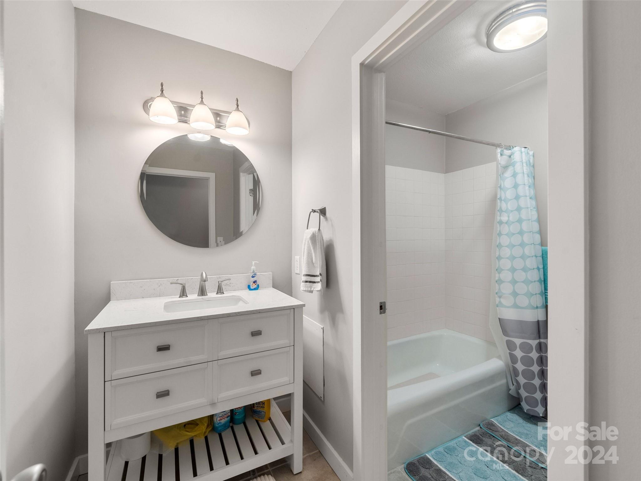 111 Shepard Square, Unit 608 Brevard, NC 28712 - Photo 18 of 29 a bathroom with a sink a toilet and a mirror