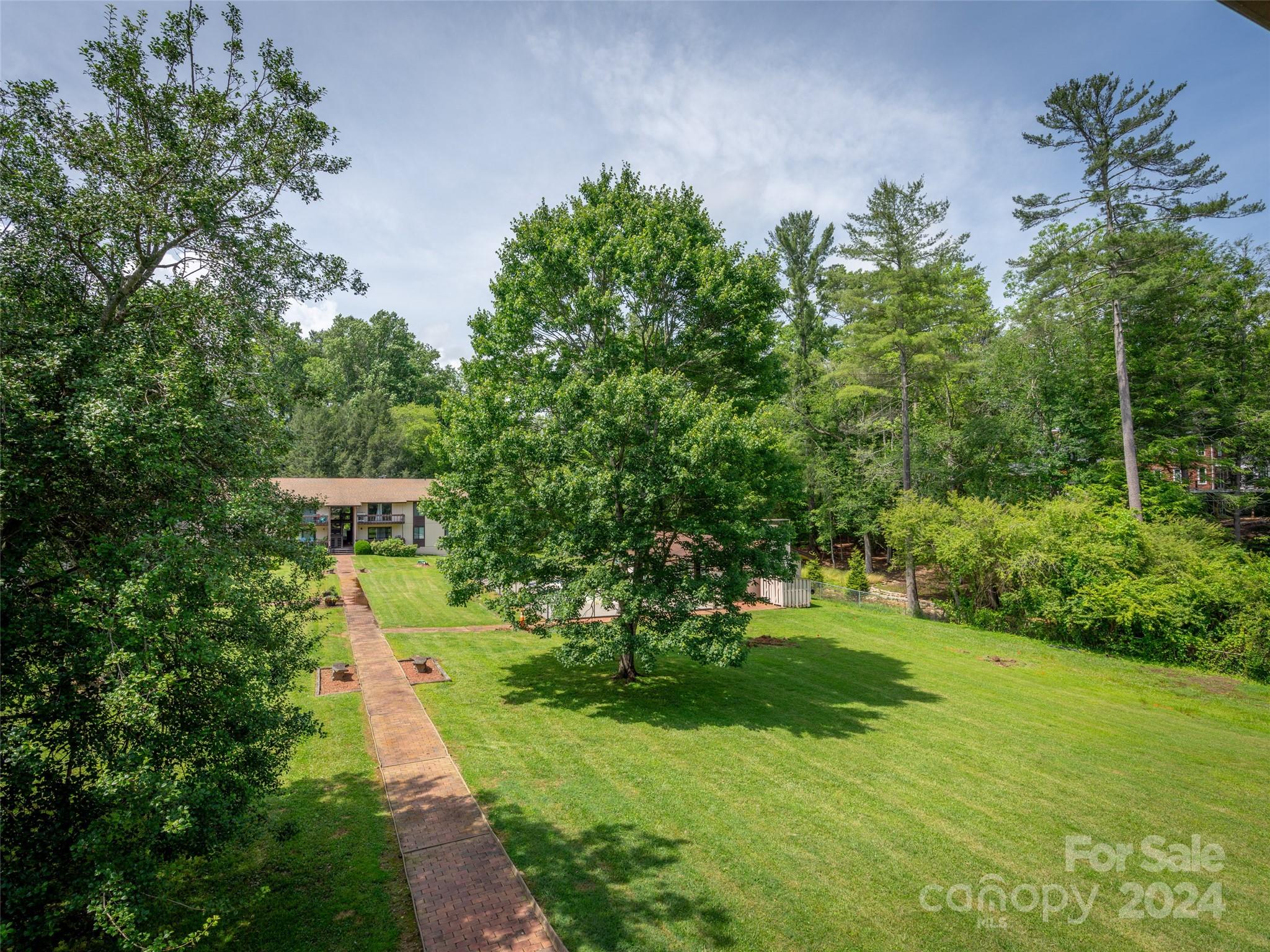 111 Shepard Square, Unit 608 Brevard, NC 28712 - Photo 23 of 29 a green field with lots of trees