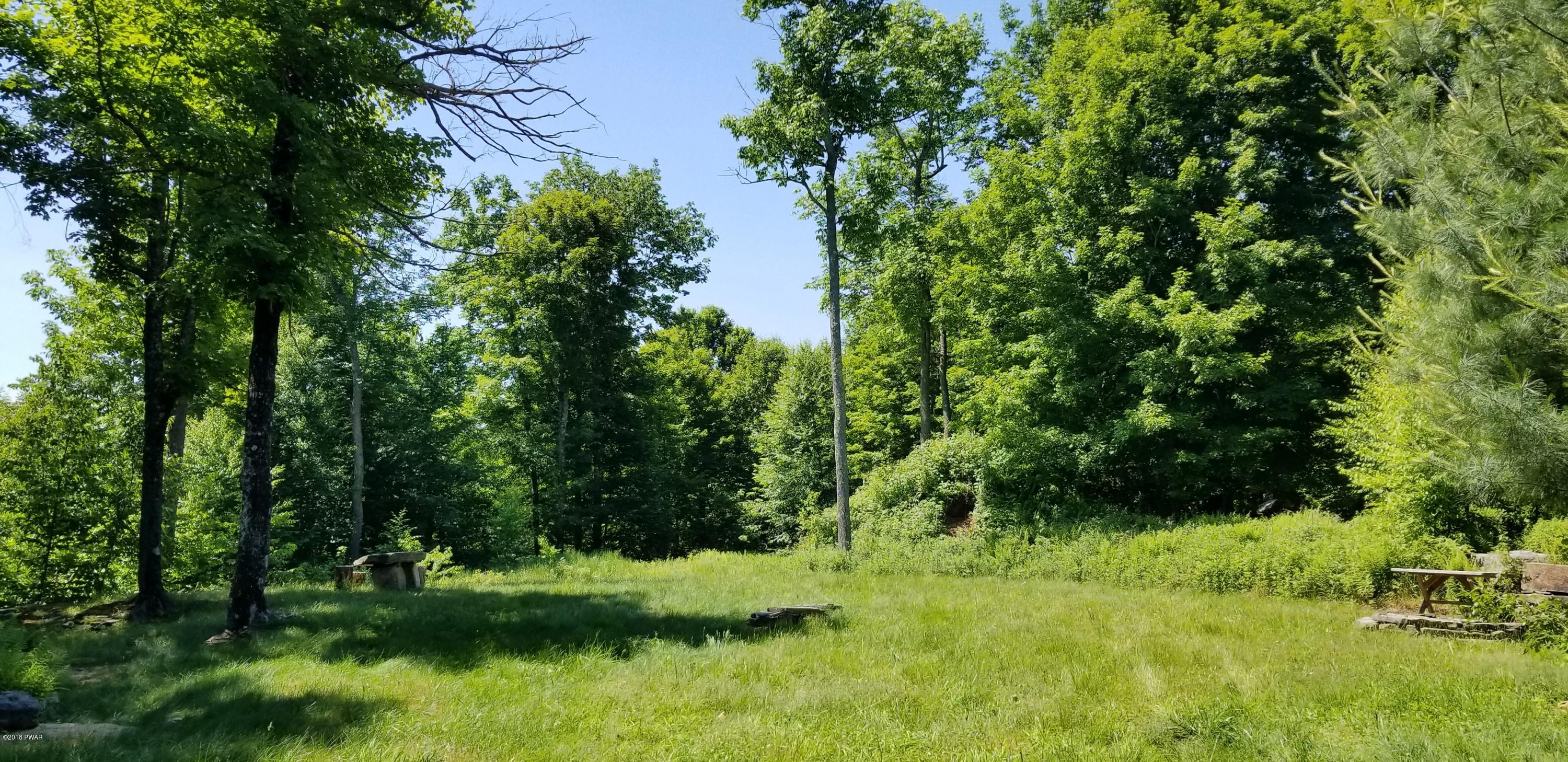 Lot 63 Old Woods Road Equinunk, PA 18417 - Photo 21 of 63