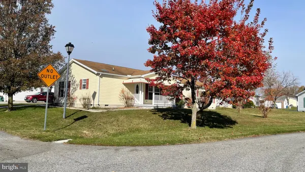 a front view of a house with a yard tree and outdoor seating