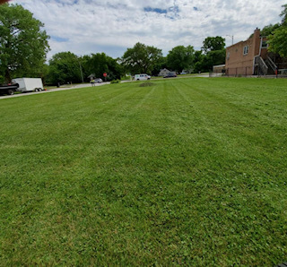 a view of yard with grass & street
