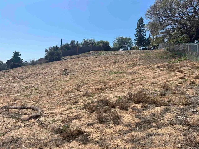 a view of dirt field with trees in background