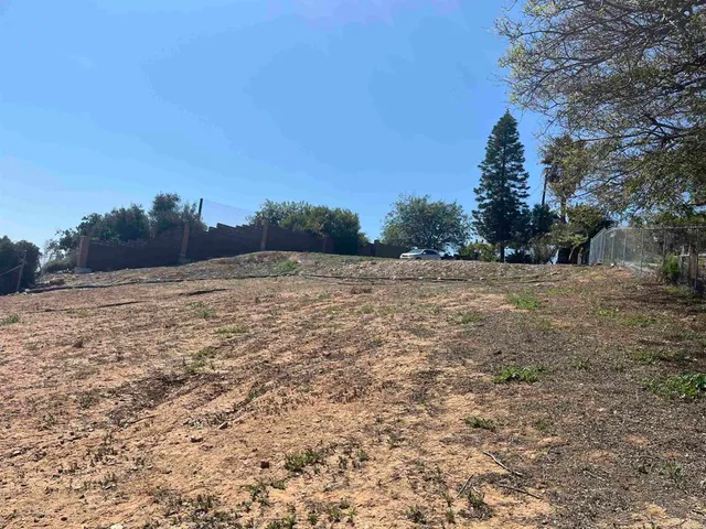 a view of a field with trees in the background