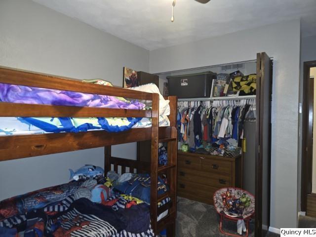 733 Questover Drive Carthage, IL 62321 - Photo 16 of 28 Gallery Image 16
