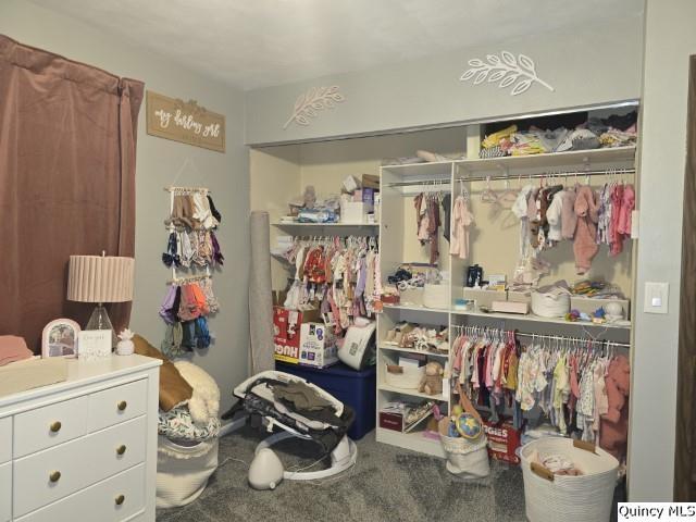 733 Questover Drive Carthage, IL 62321 - Photo 19 of 28 Gallery Image 19