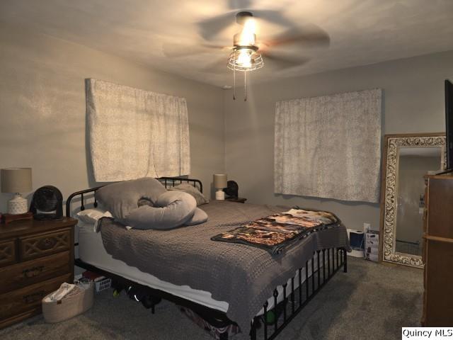 733 Questover Drive Carthage, IL 62321 - Photo 20 of 28 Gallery Image 20