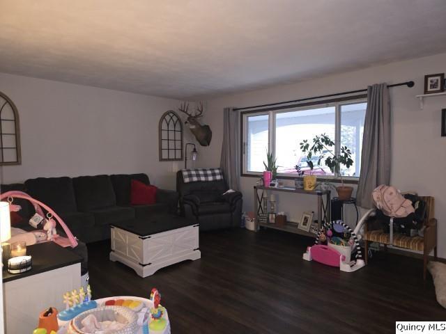 733 Questover Drive Carthage, IL 62321 - Photo 2 of 28 Gallery Image 2