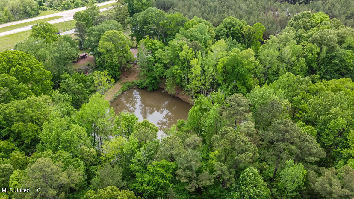 1309 Highway 49 Frontage Road Bentonia, MS 39040 - Photo 5 of 35 D3ECECEC-A6F0-4666-85A3-2E427063C316_1_1