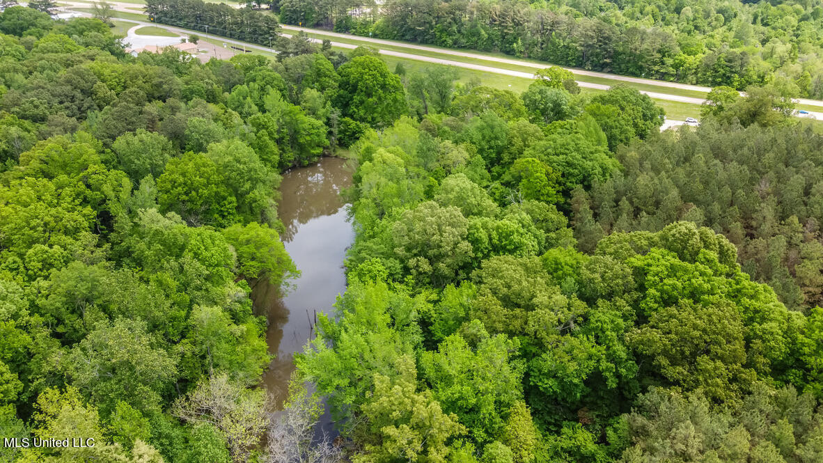 1309 Highway 49 Frontage Road Bentonia, MS 39040 - Photo 6 of 35 258CA633-5E97-4E34-AB83-A288A446DD74_1_1
