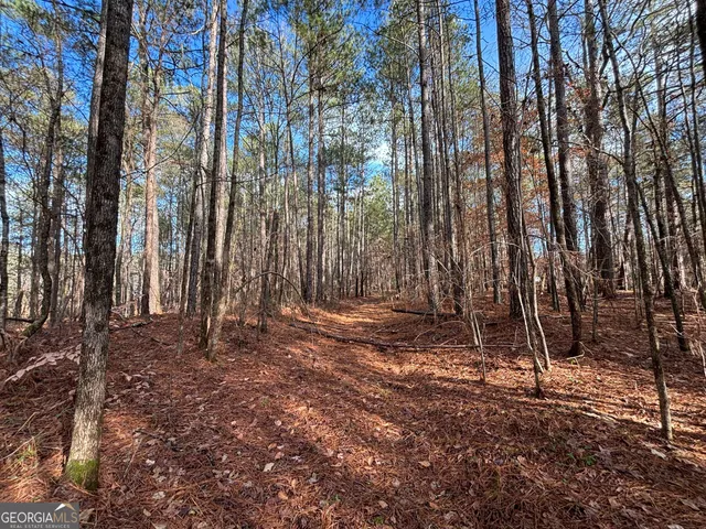 $110,000 | 2910 Hwy 212 Covington Ga 30016, Covington, GA 30016