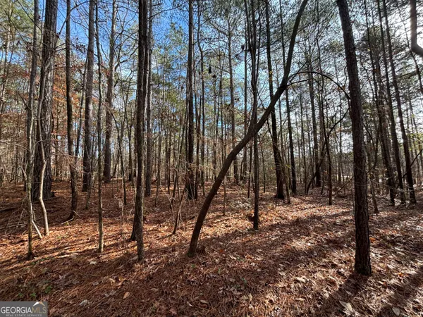 a view of outdoor space with lots of trees
